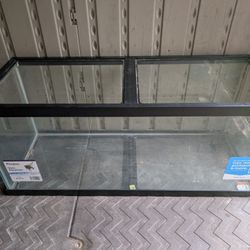 75 Gallon Fish Tank 