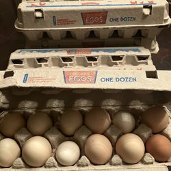Farm Fresh Eggs