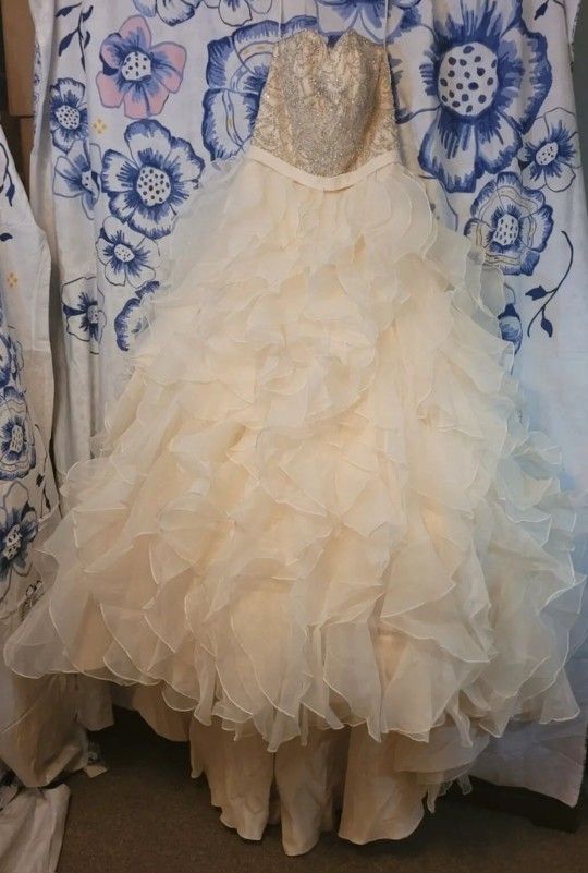 Wedding Quinceanera Dress Champagne Beaded Bodice Waterfall Skirt Ballgown