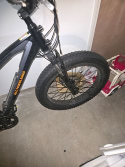 Rad Power Bikes RadRover Electric Fat Bike