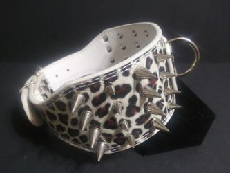 Dog Spike Collar