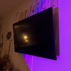37 Inch Sony Vizio