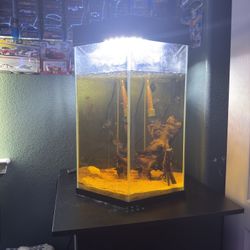 20G Hexagon Tank With Stand And Supply’s 