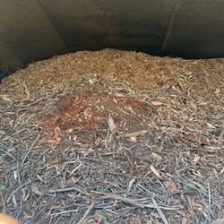 Wood Chips Available