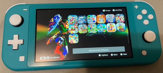 Nintendo Switch Lite with Chip