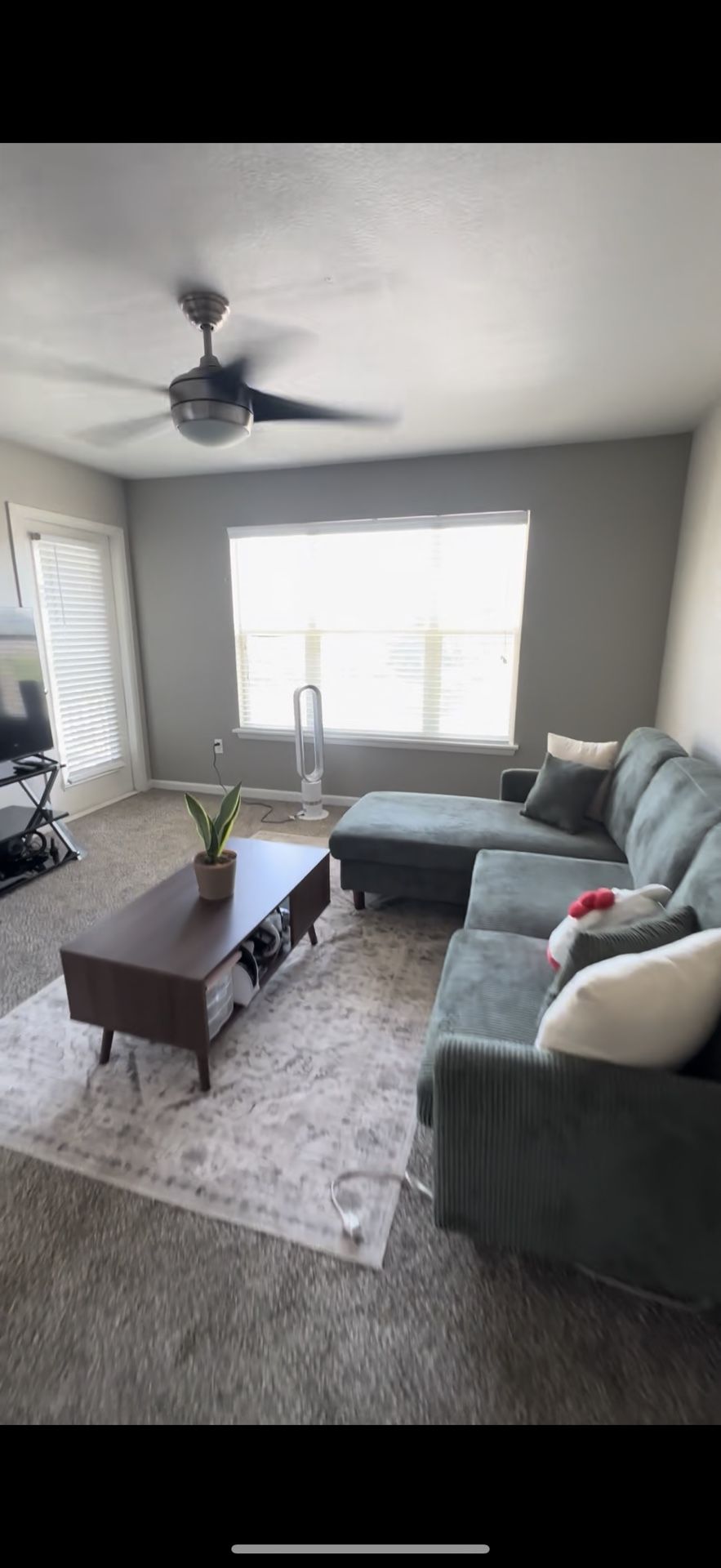 wayfair couch ! dark green