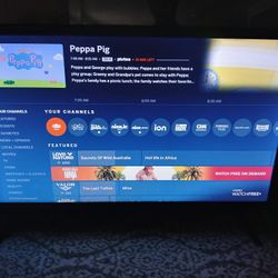 VIZIO FLAT SCREEN TV WITH BUILT IN APPS 22inch 