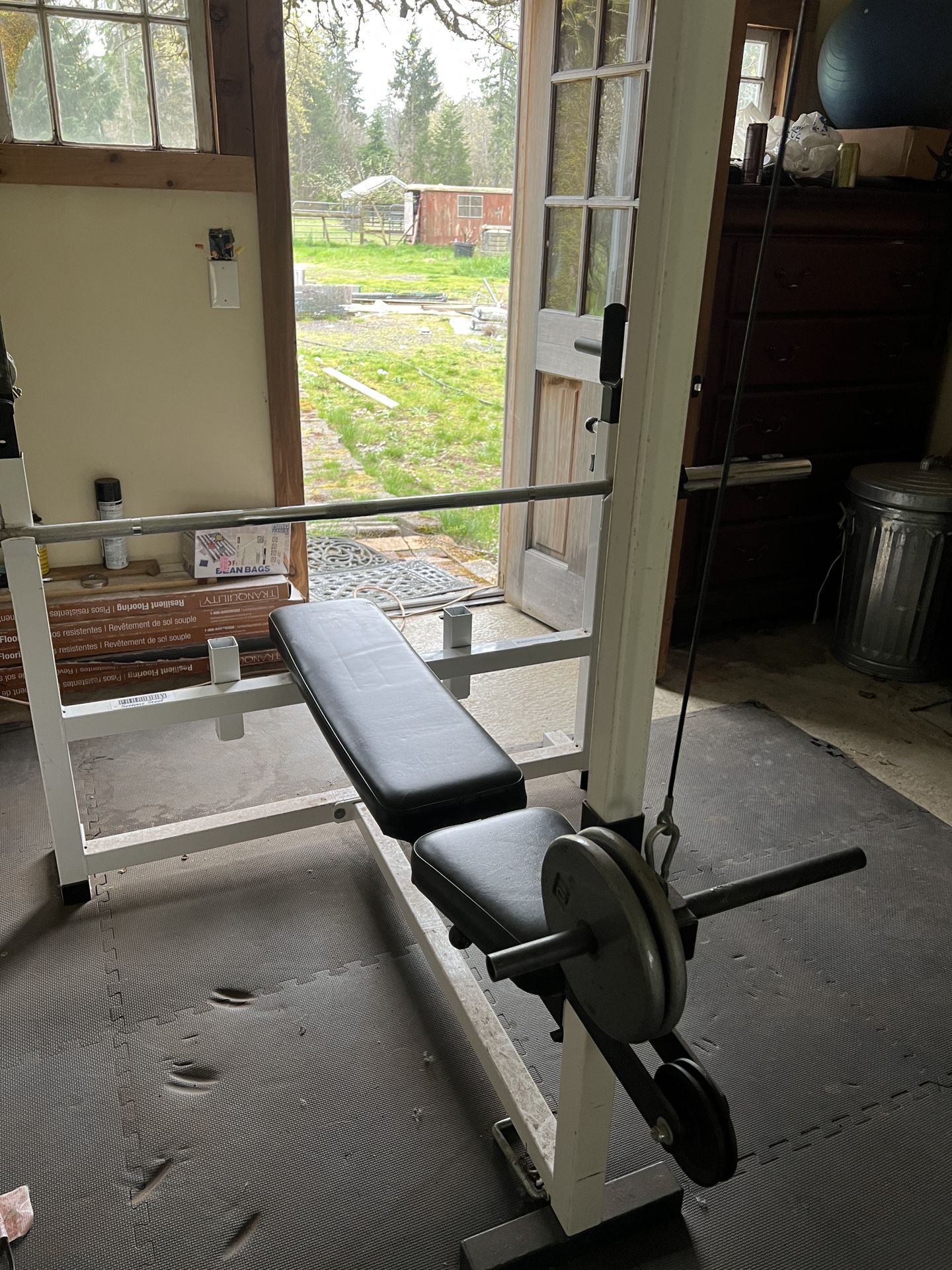 Home Gym And Weights