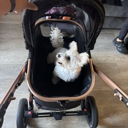 Enzo Pet Stroller 