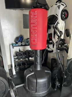 Century Wavemaster Punching Bag