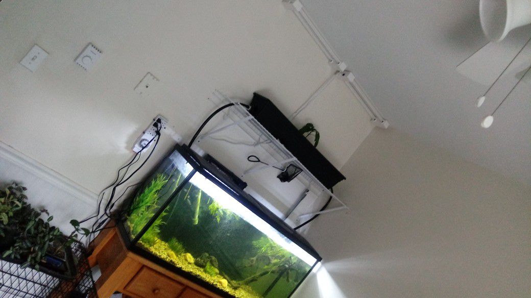 Fish tank and more