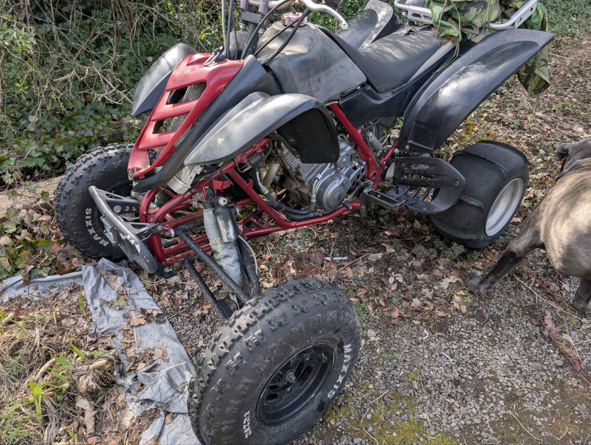 2005 Yamaha Raptor Raptor for Sale in Tacoma, WA - OfferUp