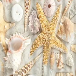 2 Brand New Seashell Designed Shower Curtains