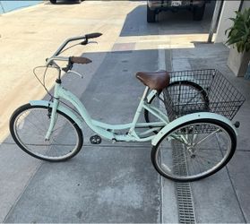 Adult Tricycle - Schwinn