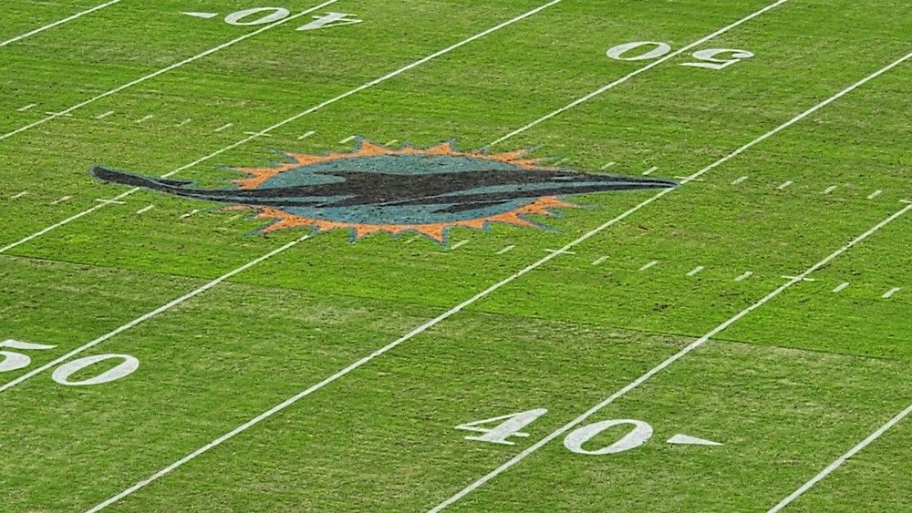 I Have Reasonable Tickets To All Dolphins Home Games