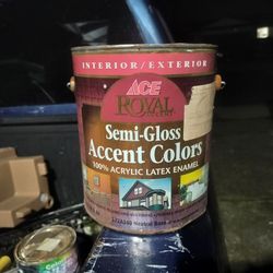 116 Flo Oz Cans Of Paint 15 Dollars Each