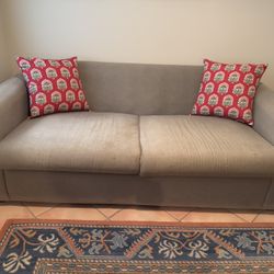 Sage Sleeper Sofa-FREE