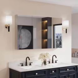 FORCLOVER 48 in. W x 30 in. H Rectangular Medicine Cabinet with Mirror in Silver with Adjustable She