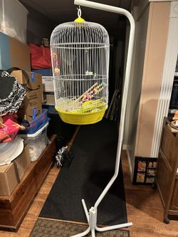 Bird Cage