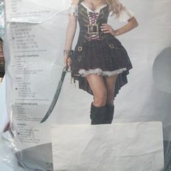 Women's Swashbuckler Costume