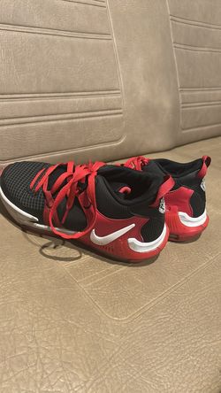 LeBron witness 7