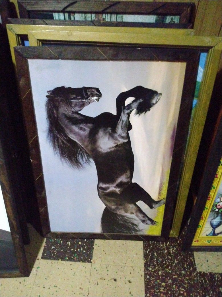 Horse