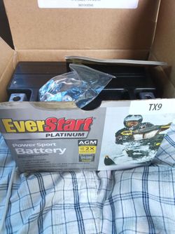 EverStart TX9 Battery