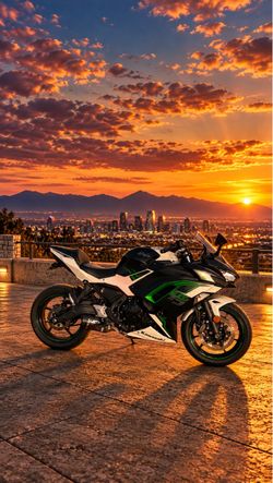 Kawasaki Ninja Sport Motorcycle