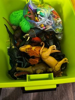 Dinosaur 🦕