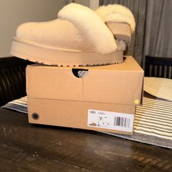 UGG Slippers- Distiquette 