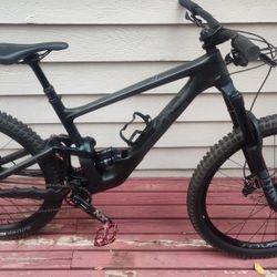 Specialized  Full Carbon Fiber  29r