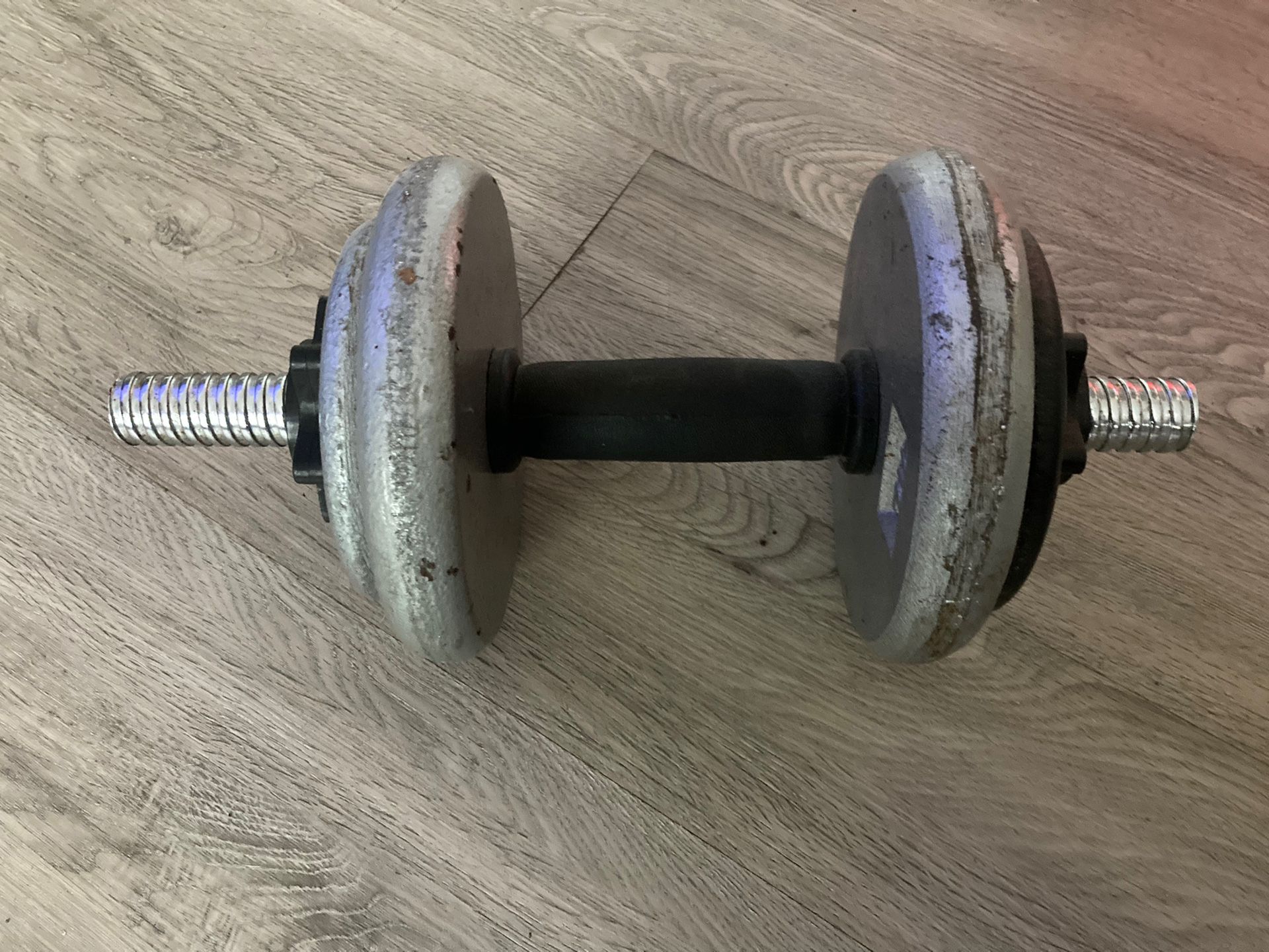 Dumbbell with 20 Lbs of Plates
