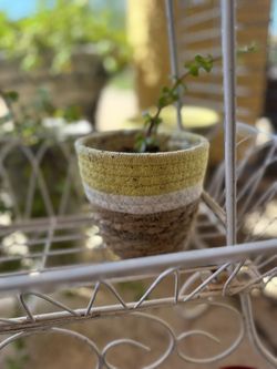 Flower Pot