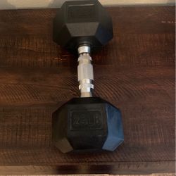 25lb Dumbbell