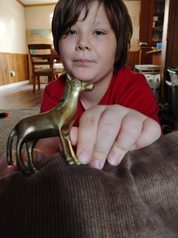 Golden Pony