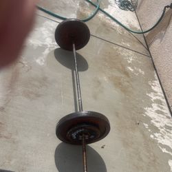 Barbell With Plates 