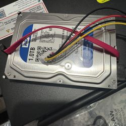 1 TB   WD BLUE HDD