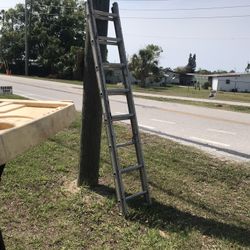 Aluminum Extension 16’ Ladder $55 Little Giant Stepladder$85 Firm. 4’ Stepladder $25 Costco $35 Platform Steps