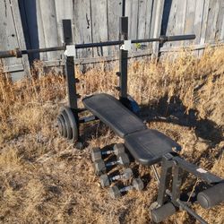 Weight Bench And Weights
