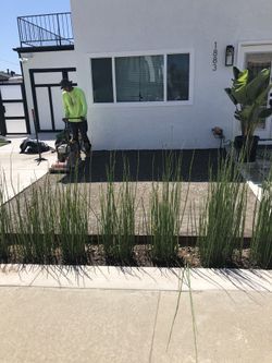 Artificial Grass