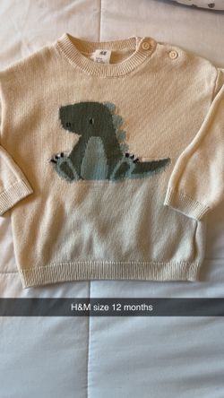 Dino Sweater From H&M