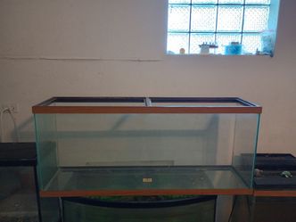 55 gallon