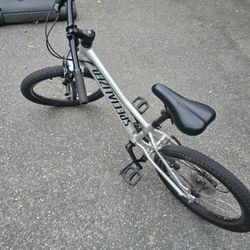 20" Specialized Kids Bike