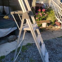 Cosco 6ft Step Ladder