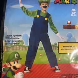 Super Mario Brothers Luigi Costume