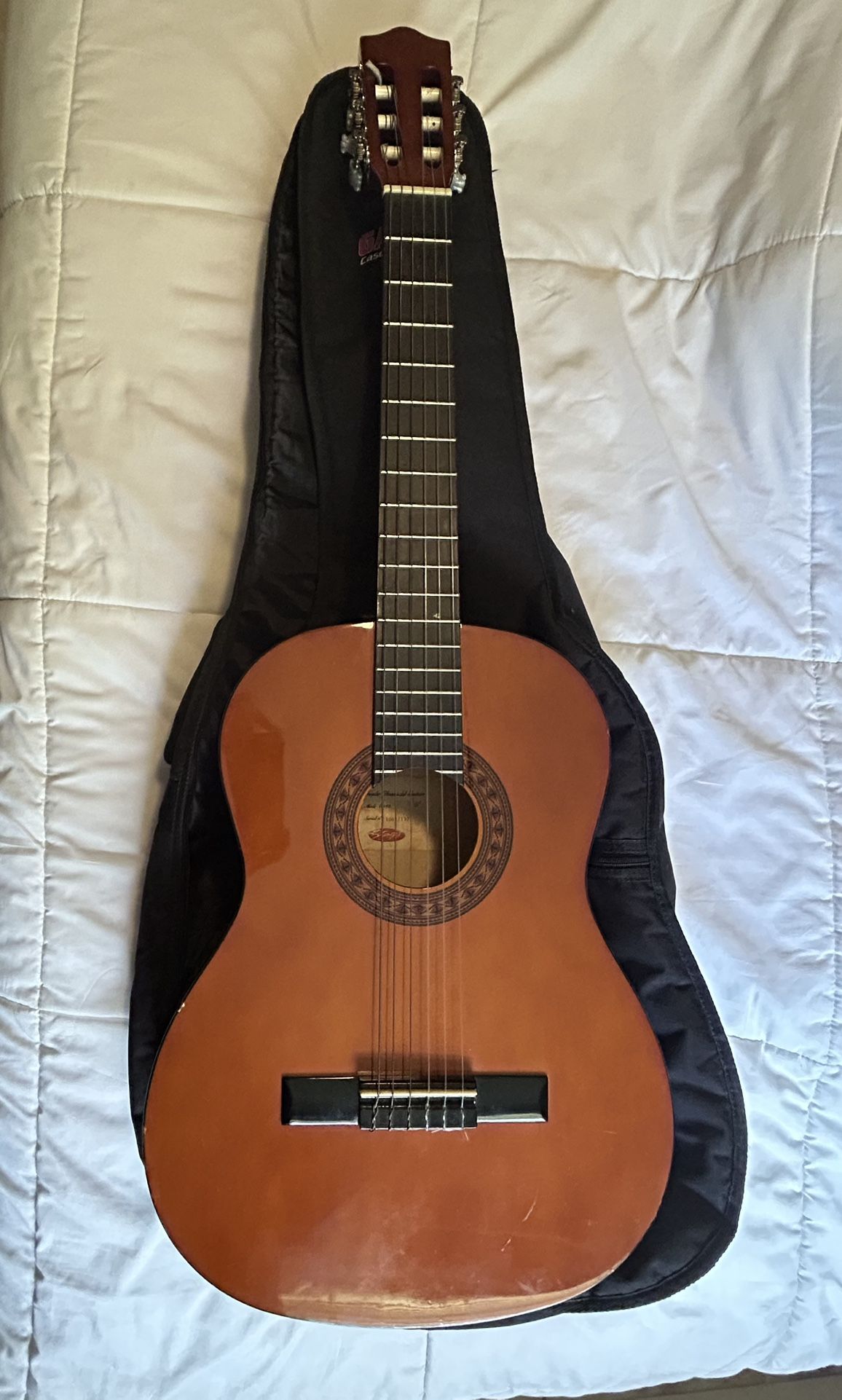 Acoustic Guitar