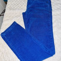 Beautiful Ladies Gap Pants Blue (size (0)(25p)only $10