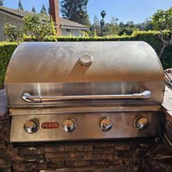 Bull Stainless steel BBQ gas Grill