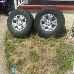 Tires