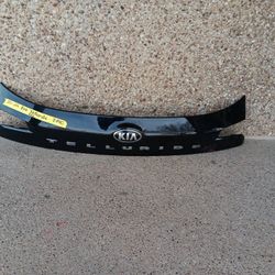 2020-24 Kia Telluride Tail Gate Molding 